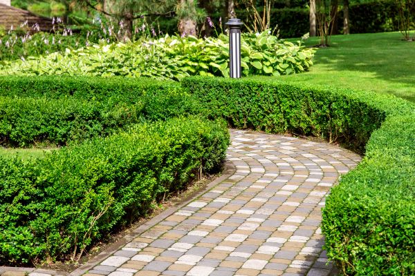 Paved Landscaping in Federal Way