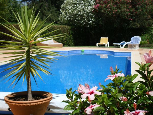 Pool Terrace Renovation in Federal Way